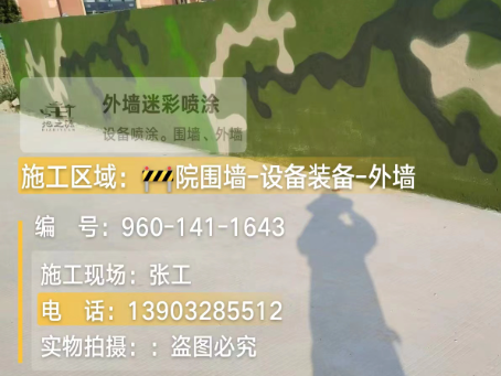 运城 迷彩漆喷涂价格（按平方米计费）
